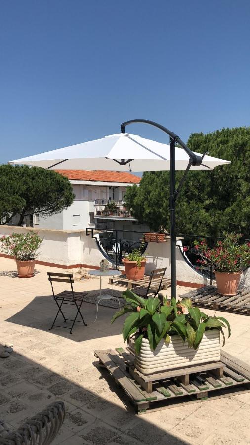 Attico Terramare - Beach & Maxi Terrace & Electricbbq Santa Marinella Extérieur photo